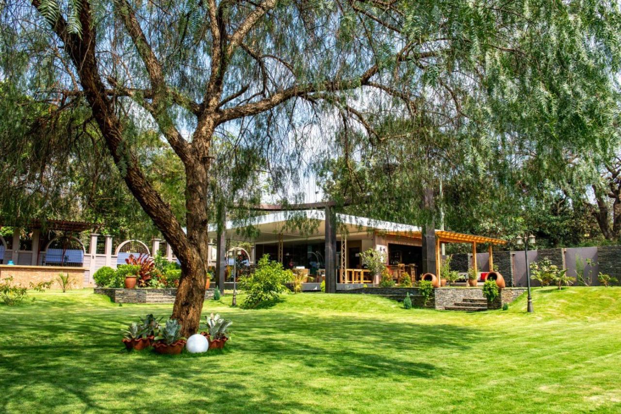 Kinga Homes Boutique Hotel モシ エクステリア 写真
